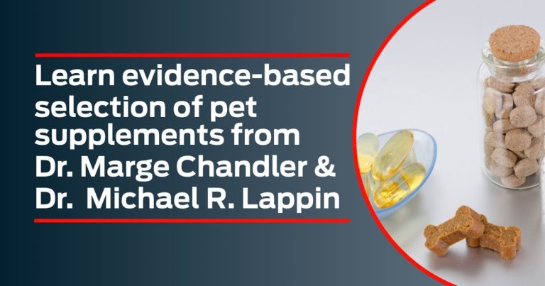 Supplement support on offer to vets at webinar