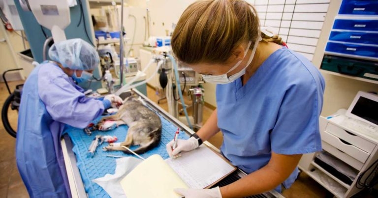 The power of five questions