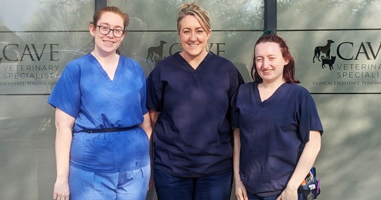 Cave boosts team with new VN recruits