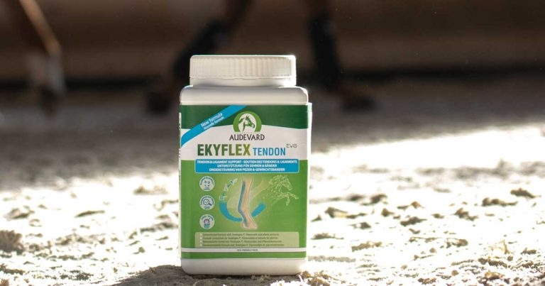 Audevard launches new supplement to support equine tendons and ligaments
