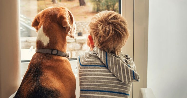 Families urged to join new RVC study of pandemic pet ownership