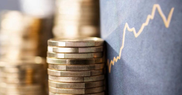 Vet care cost rises ‘just not tenable’, charity boss warns