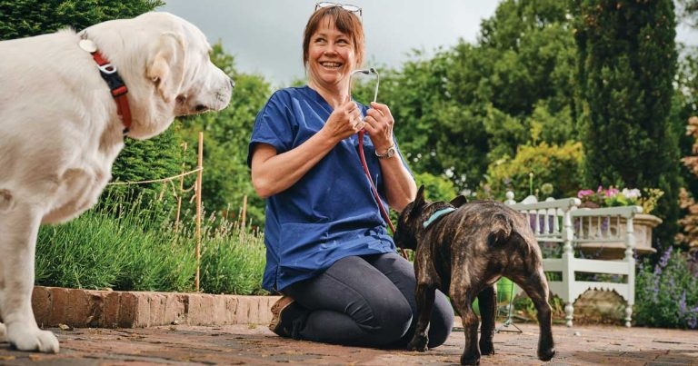 Practice Profile: Paws Indoors Mobile Vets