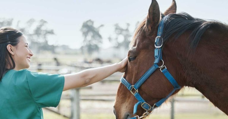 Equine VN role ‘must be allowed to grow’, outgoing BEVA president tells congress