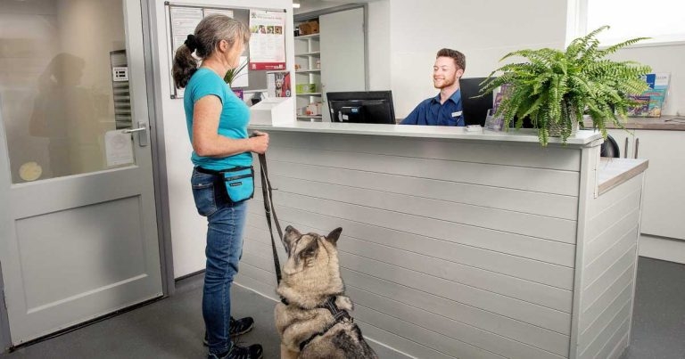 Cornwall veterinary practice in £300,000 expansion project