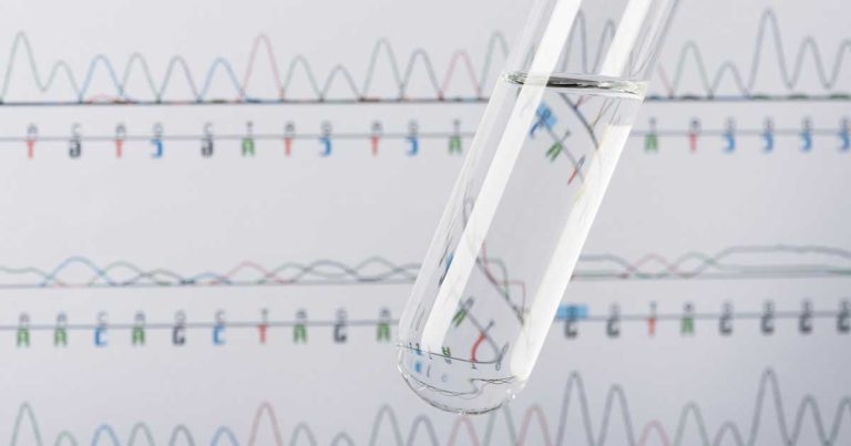 Cardiology: genetics of canine heart disease