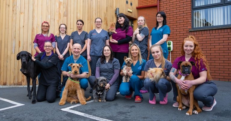 Employees take on ownership of Belfast vet practice business