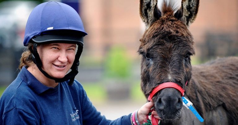Vets save dinky donkey by fitting pacemaker in five-hour operation