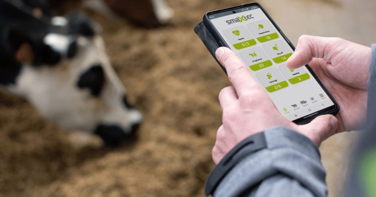 Breakthrough for detecting mastitis in dairy cows