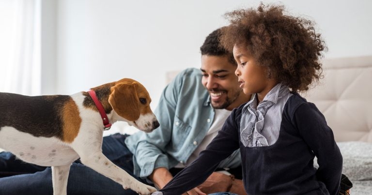 Dogs Trust issues new bite advice to protect children and pets