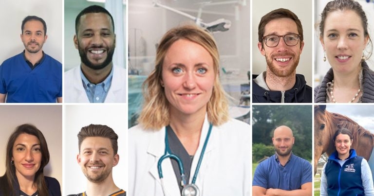 IVC Evidensia bolsters specialist network across Europe