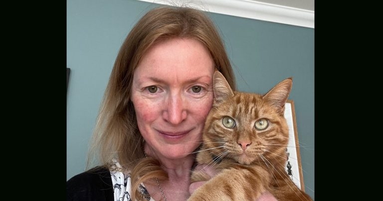 New Kent cat clinic set to open