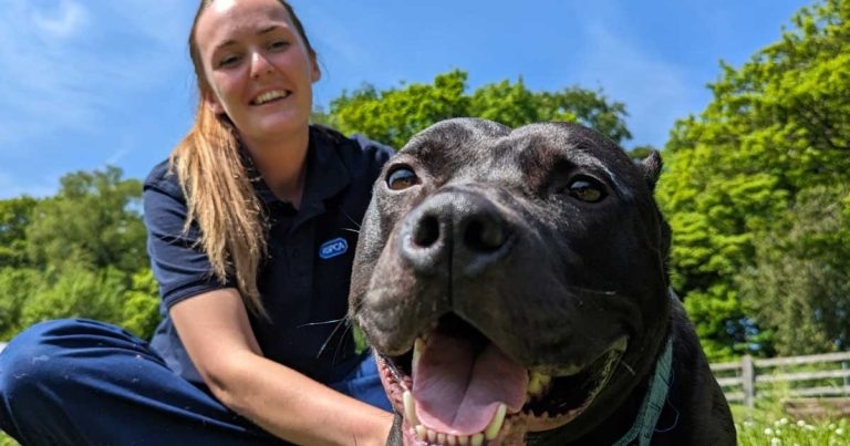 Riga leads new drive for public awareness of ear cropping problem