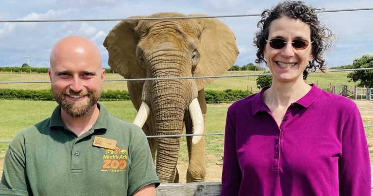 Seriously big data: Nottingham researchers unveil elephant welfare app