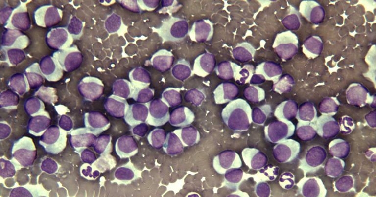 Skin cytology – practical tips for first opinion practitioners