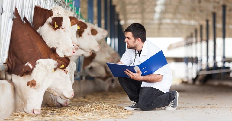 Vet profession’s wrong turns