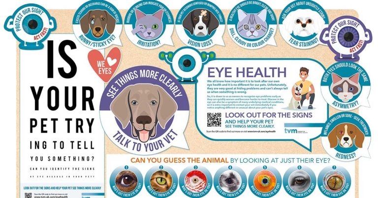 Look out for return of Pet Eye Health Awareness Week