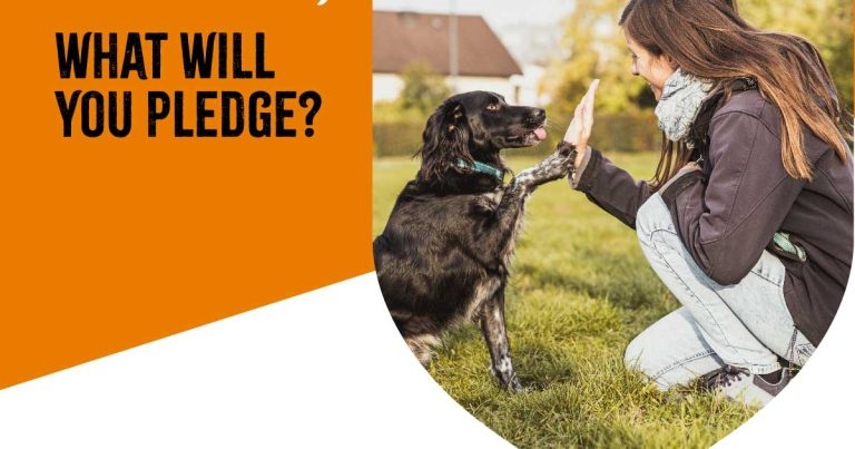 New plea for action against lungworm