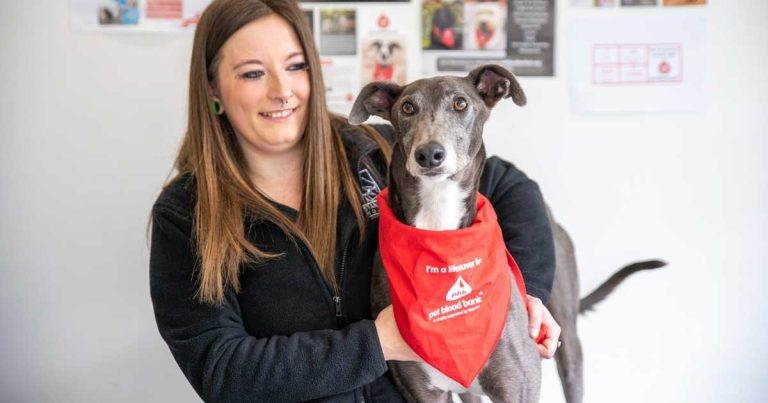Lancashire practice to host pet blood donation day