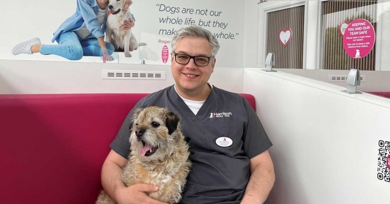 Dogs’ best friend status for Harrison practices