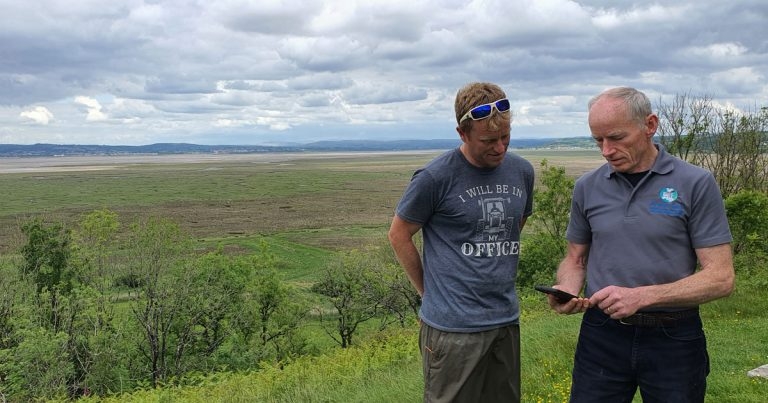 Vets and farmers praise app project for role in cutting antibiotic use