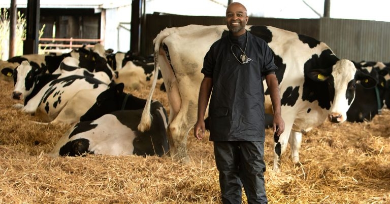 Veterinary diversity leader takes up new IVC Evidensia role