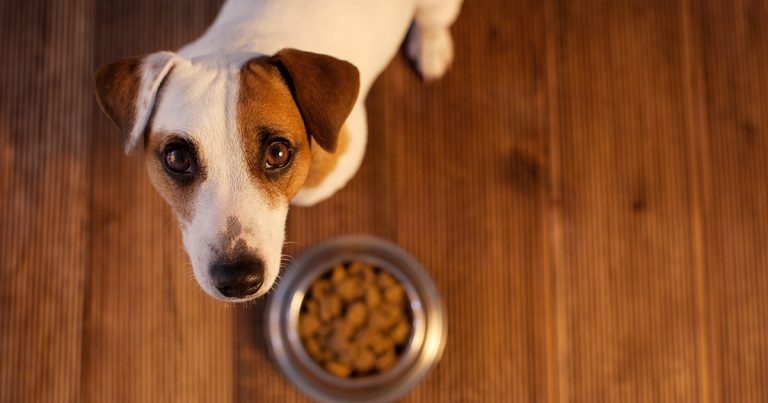 Nutrition conversations that change behaviours