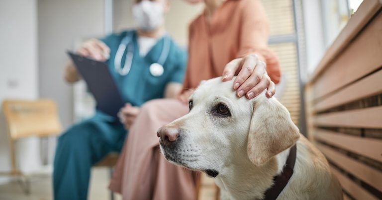 Dynamics of referral: don’t let your clients get lost in the process