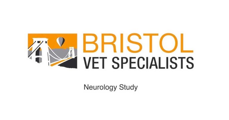 Bristol study to test ultrasound potential in serious canine spinal injuries