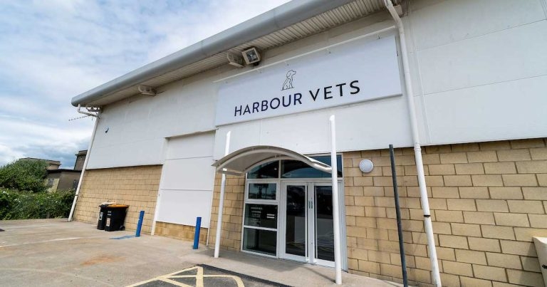 CVS’ Harbour Veterinary Group opens £1m Southsea practice
