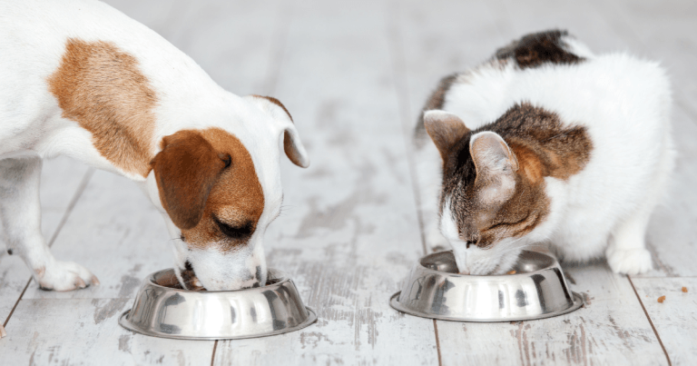 Vomiting and diarrhoea: how do you treat that?