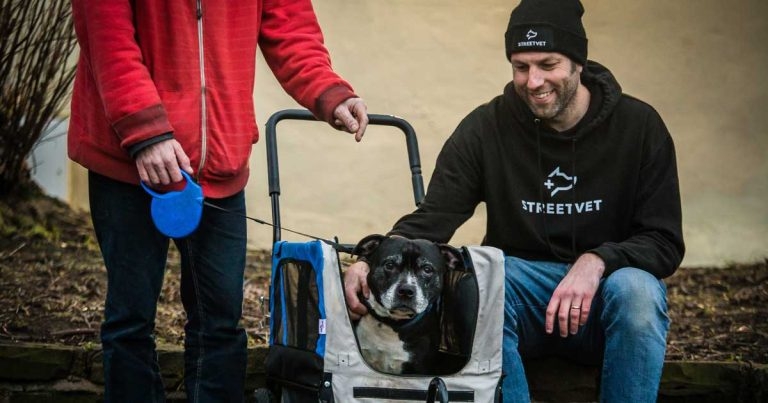 Zoetis names StreetVet as charity of the year