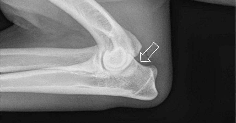 X-ray tips for joint disease in canine thoracic limbs