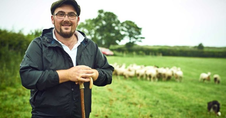 Sheep farmers: communication for boosting welfare and vaccine rates