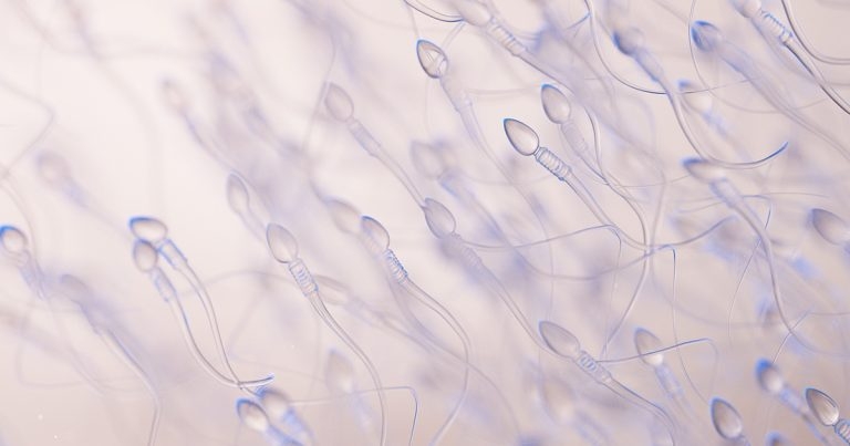 Farming’s use of sexed semen and synchronisation for dairy cattle
