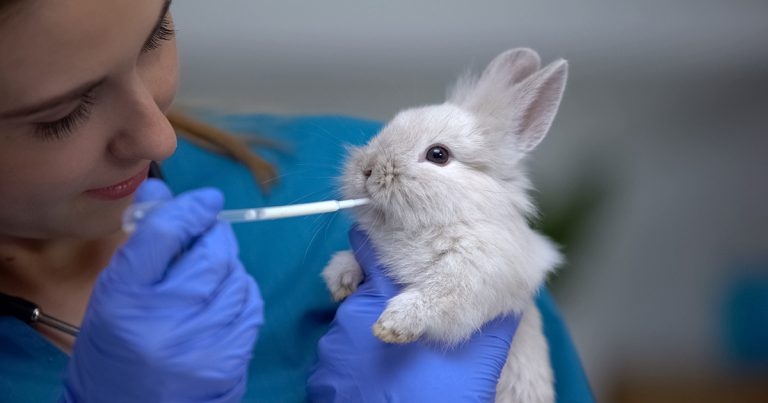 Nominations open as Burgess Excel Vet Awards return for fourth year