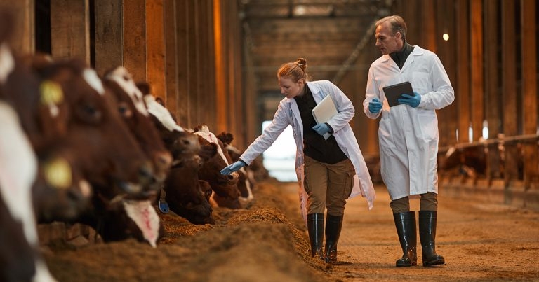 CVS launches farm vet exchange programme