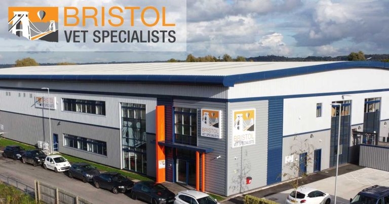 CVS unveils new £13.5 million Bristol hospital