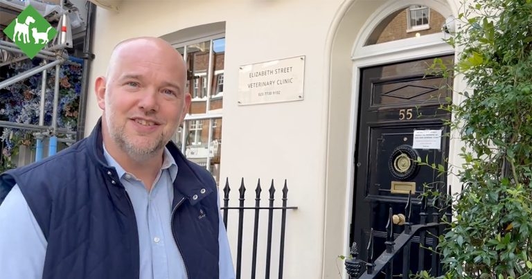 DNA Vetcare expands chain with acquisition