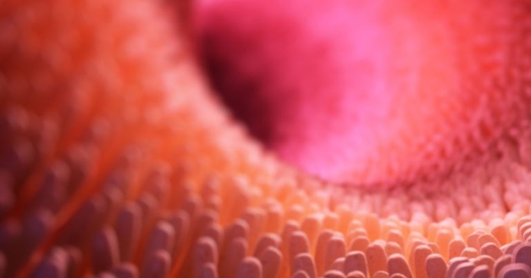 Purina Institute to host two-day virtual microbiome forum