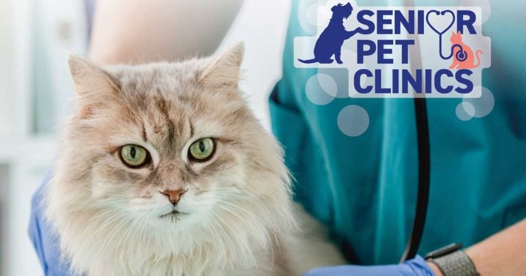 Guide explains how to start and run clinics for senior cats and dogs