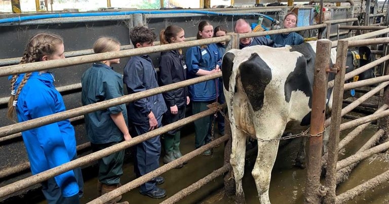 Practice’s three-day programme gives wannabe vets taste of work