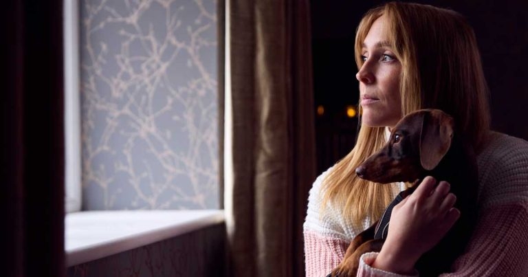 Struggling pet owners need financial aid, warns RSPCA