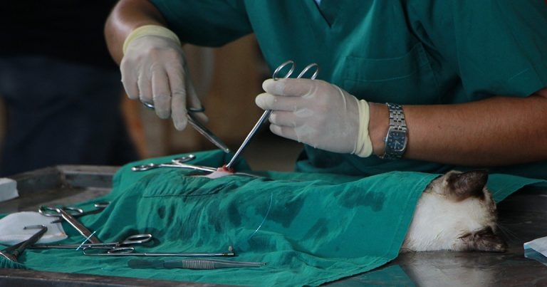 Suture knots failure: major cause of post-op morbidity or mortality
