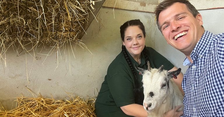 Treating Dolly’s lesions: a surprising goat discovery