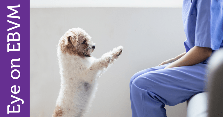 Eye on EBVM: VetTeamAMR can help antibiotic stewardship