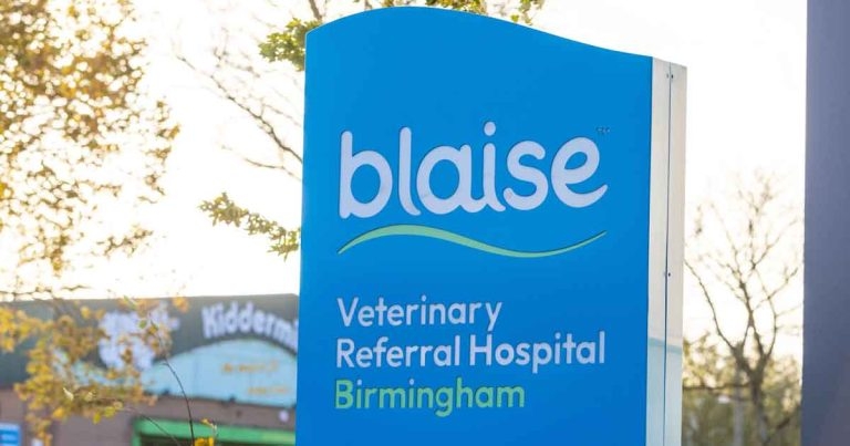 Blaise of glory: IVC Evidensia opens £10m animal super-hospital