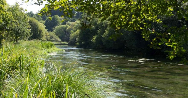 ‘No evidence’ for vet medicine pollution claims, argues NOAH