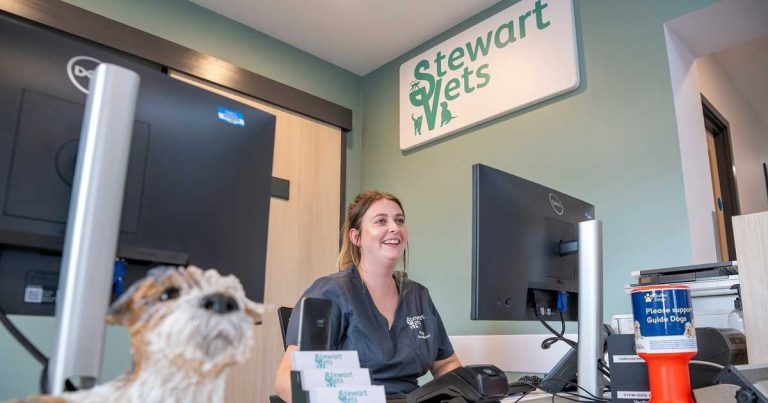 West Midlands CVS practice opens after £700k refurbishment