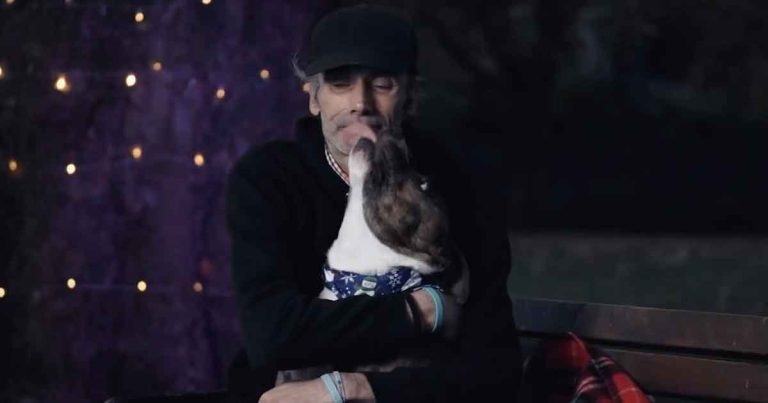 Short film highlights ‘impossible decision’ facing many homeless pet owners